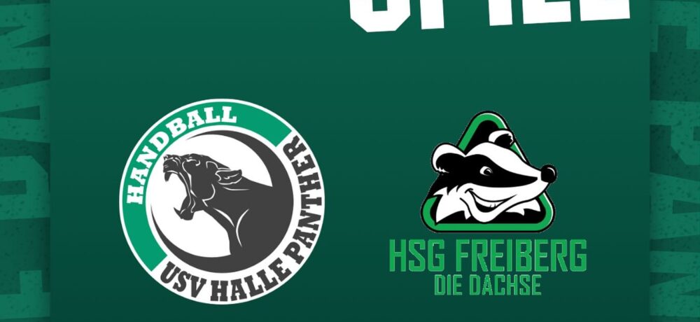 Dachse gegen Panther
