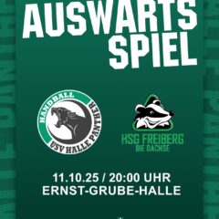 Dachse gegen Panther
