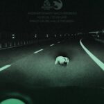 Panther vor der nächsten Auswärtsaufgabe