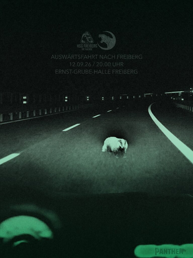 Panther vor der nächsten Auswärtsaufgabe